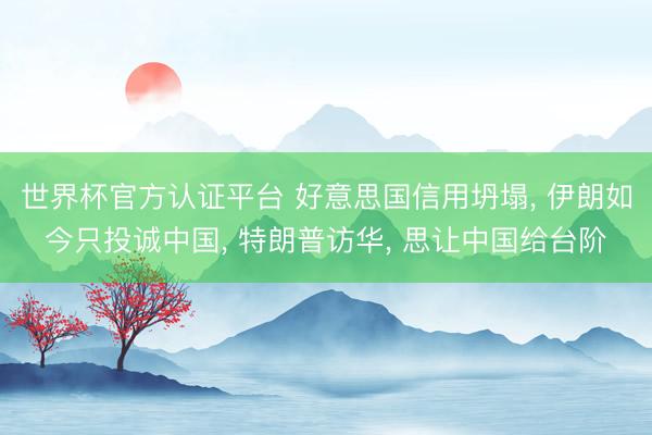 世界杯官方认证平台 好意思国信用坍塌， 伊朗如今只投诚中国， 特朗普访华， 思让中国给台阶