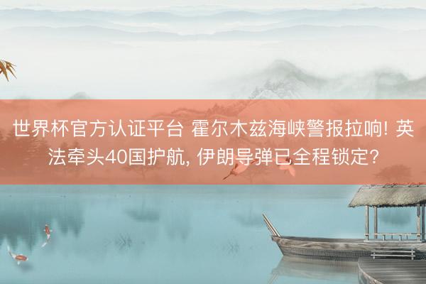 世界杯官方认证平台 霍尔木兹海峡警报拉响! 英法牵头40国护航, 伊朗导弹已全程锁定?