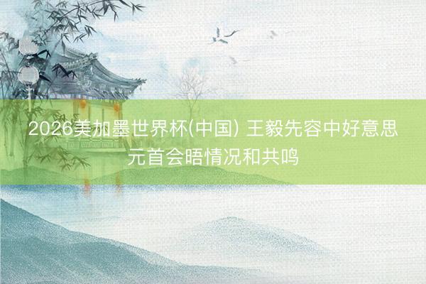2026美加墨世界杯(中国) 王毅先容中好意思元首会晤情况和共鸣