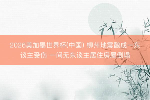 2026美加墨世界杯(中国) 柳州地震酿成一东谈主受伤 一间无东谈主居住房屋倒塌