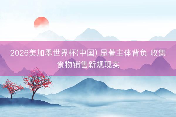 2026美加墨世界杯(中国) 显著主体背负 收集食物销售新规现实