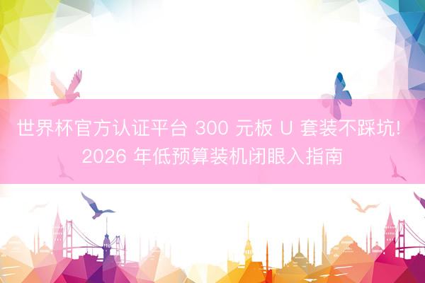 世界杯官方认证平台 300 元板 U 套装不踩坑! 2026 年低预算装机闭眼入指南