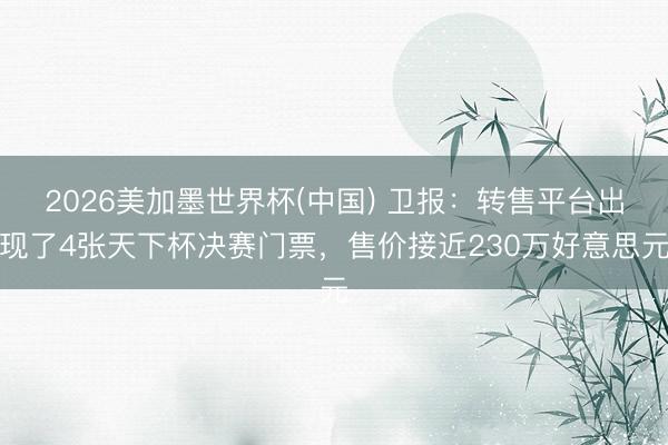 2026美加墨世界杯(中国) 卫报：转售平台出现了4张天下杯决赛门票，售价接近230万好意思元
