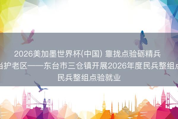 2026美加墨世界杯(中国) 靠拢点验砺精兵 铁血担当护老区——东台市三仓镇开展2026年度民兵整组点验就业