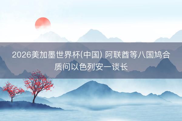 2026美加墨世界杯(中国) 阿联酋等八国鸠合质问以色列安一谈长