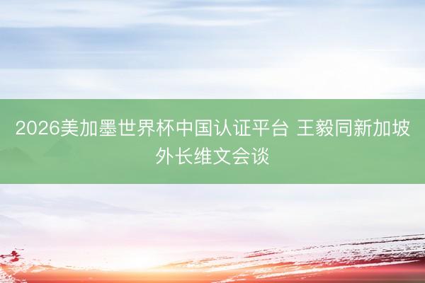 2026美加墨世界杯中国认证平台 王毅同新加坡外长维文会谈