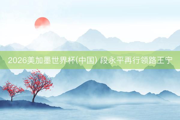 2026美加墨世界杯(中国) 段永平再行领路王宁