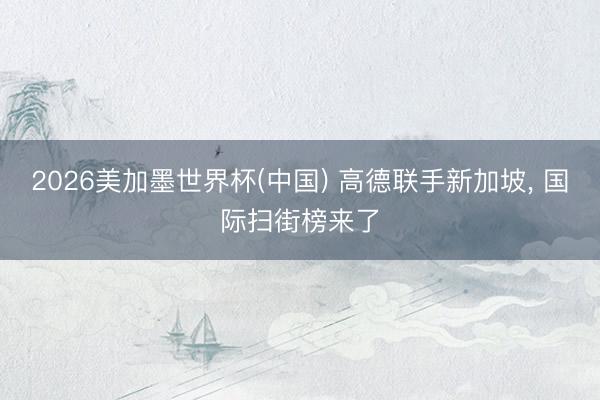 2026美加墨世界杯(中国) 高德联手新加坡， 国际扫街榜来了