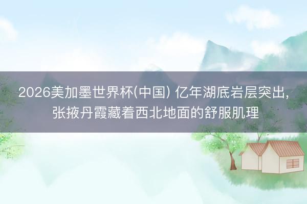 2026美加墨世界杯(中国) 亿年湖底岩层突出, 张掖丹霞藏着西北地面的舒服肌理