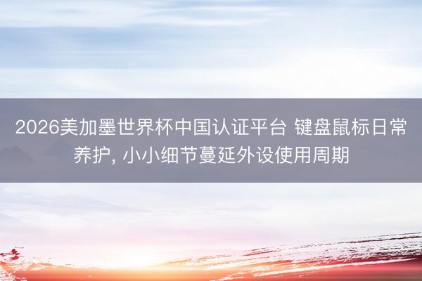 2026美加墨世界杯中国认证平台 键盘鼠标日常养护， 小小细节蔓延外设使用周期