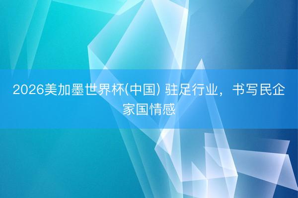 2026美加墨世界杯(中国) 驻足行业，书写民企家国情感
