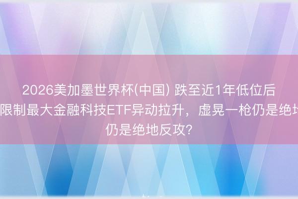 2026美加墨世界杯(中国) 跌至近1年低位后，同类限制最大金融科技ETF异动拉升，虚晃一枪仍是绝地反攻？
