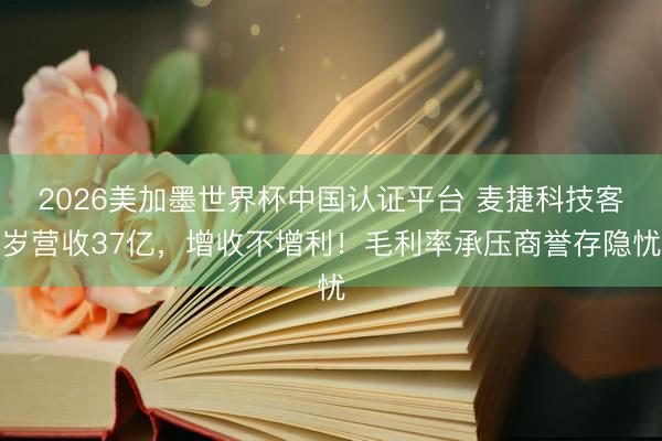 2026美加墨世界杯中国认证平台 麦捷科技客岁营收37亿，增收不增利！毛利率承压商誉存隐忧