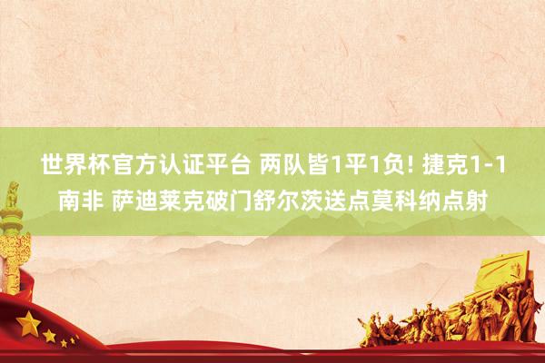 世界杯官方认证平台 两队皆1平1负! 捷克1-1南非 萨迪莱克破门舒尔茨送点莫科纳点射